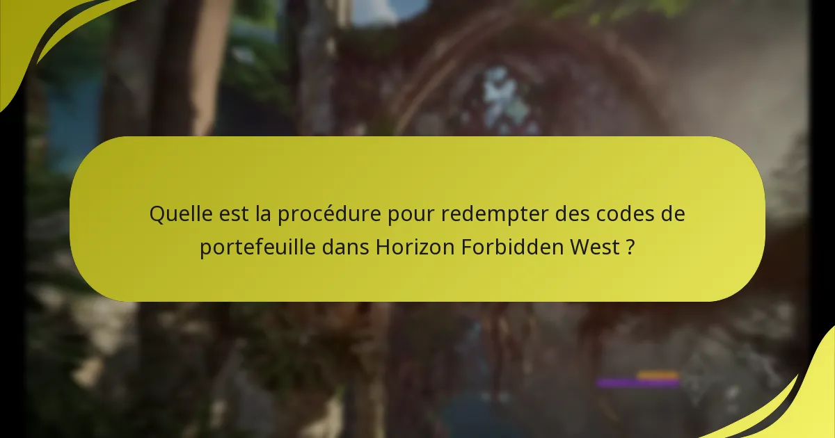 Comment puis-je dépanner les problèmes de redemption de codes de portefeuille ?