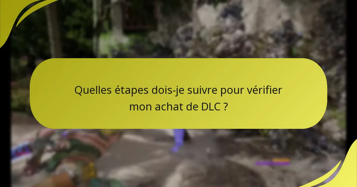 Quelles étapes dois-je suivre pour vérifier mon achat de DLC ?