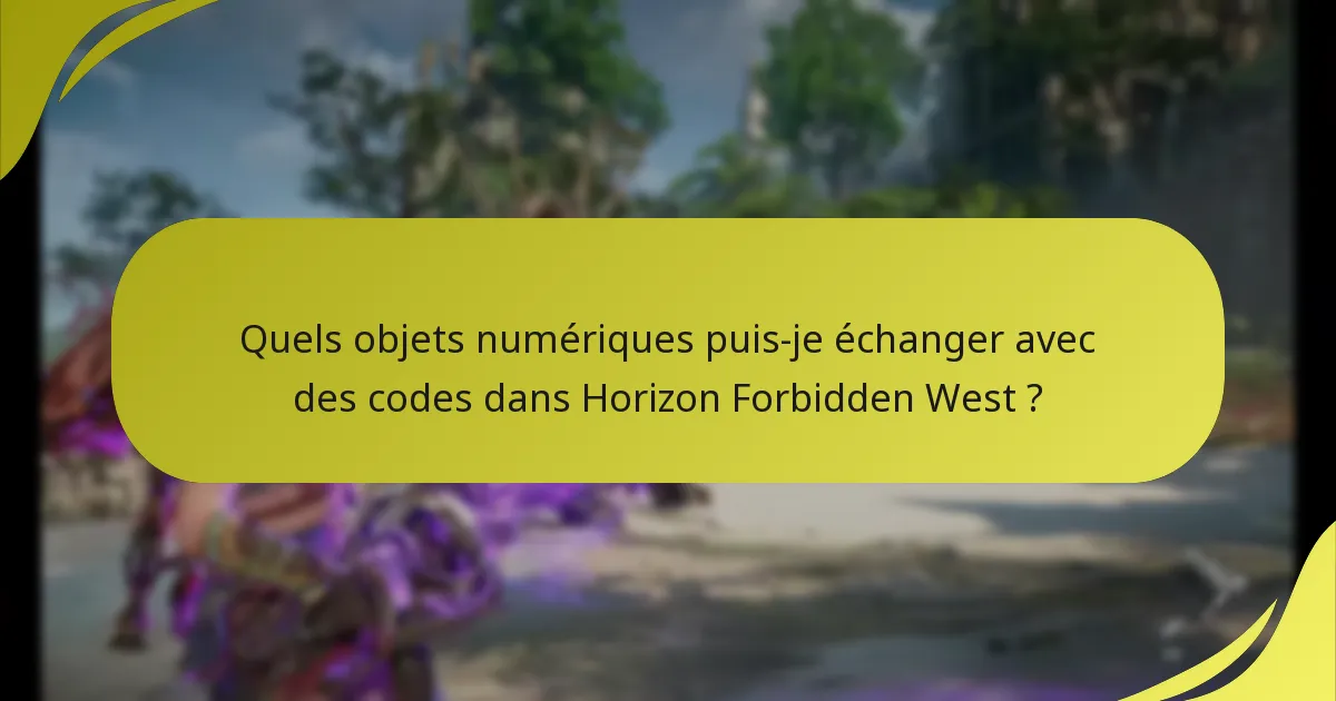 Quels sont les problèmes courants rencontrés lors du processus de saisie de codes ?