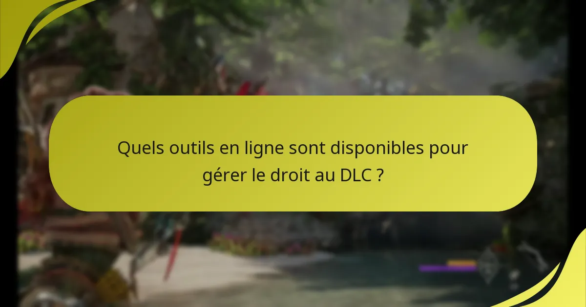 Quelles options de DLC sont disponibles à l’achat ?